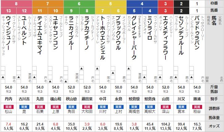 日曜新潟3R 3歳未勝利　予想