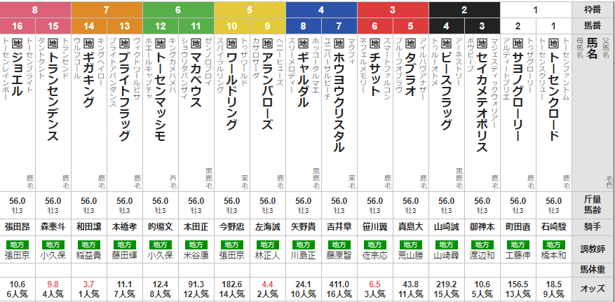 水曜大井11R 東京ダービー　予想