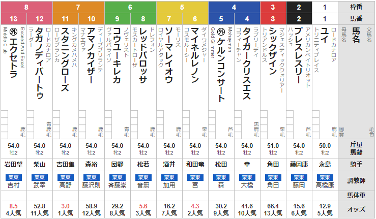 日曜中京５R　メイクデビュー中京　予想