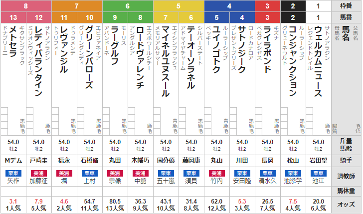 日曜新潟5Ｒ メイクデビュー新潟　予想