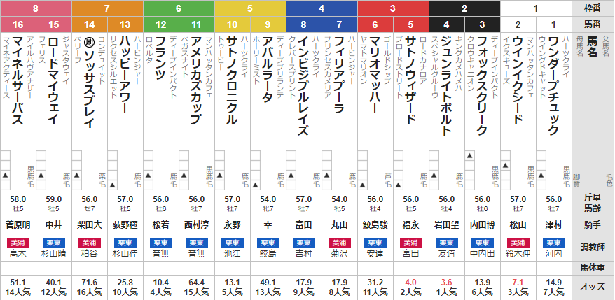 日曜新潟11R 関越Ｓ　予想