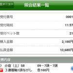 土曜新潟11R BSN賞　予想
