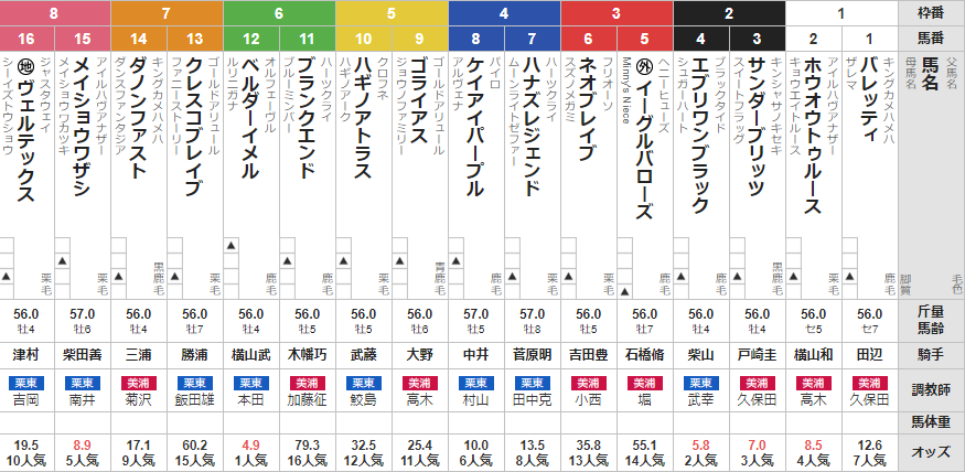 日曜中山11R ラジオ日本賞 予想