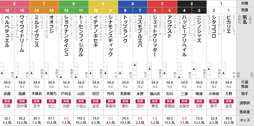 土曜中山2R 2歳未勝利 予想