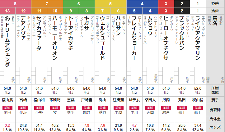 【8:25買い目訂正しました】土曜中山4R メイクデビュー中山 予想