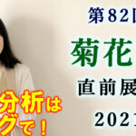 菊花賞 2021　展望動画まとめ