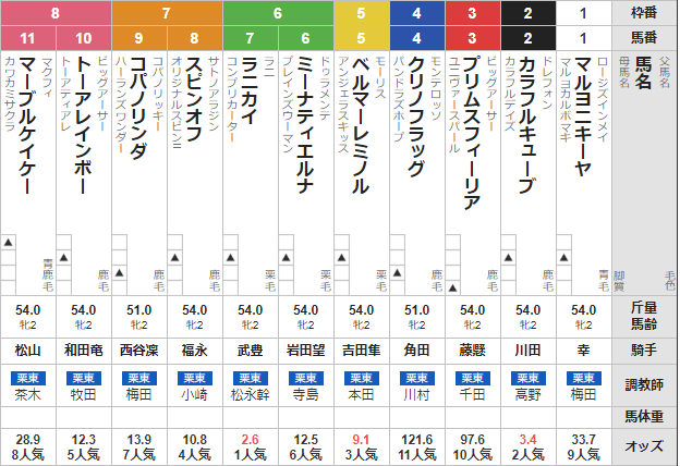 日曜阪神2R 2歳未勝利 予想