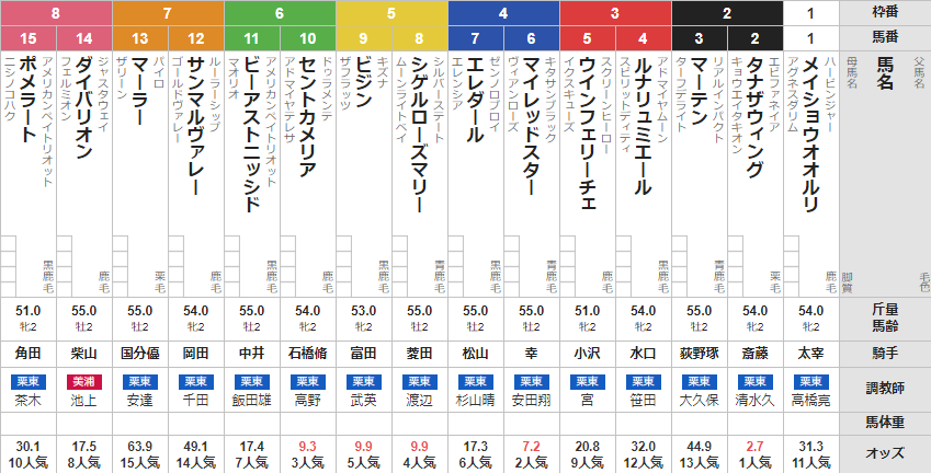 日曜中京5R メイクデビュー中京 予想