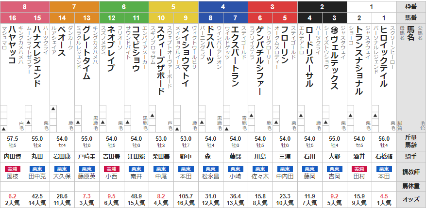 日曜東京11R ブラジルカップ 予想