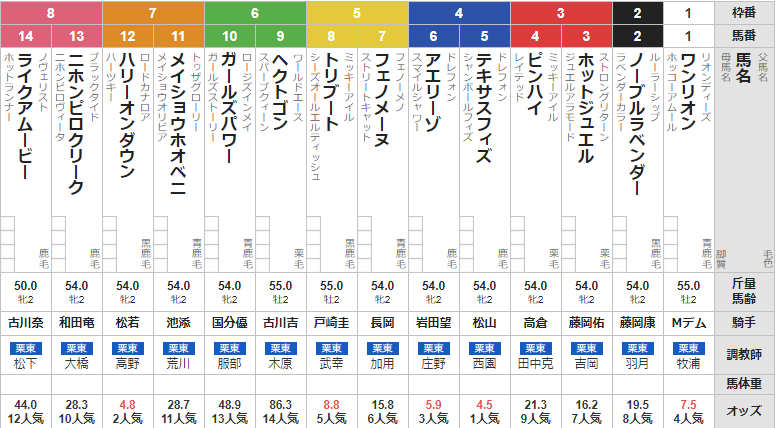日曜阪神4R メイクデビュー阪神 予想