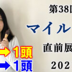 マイルチャンピオンシップ 2021　展望動画まとめ
