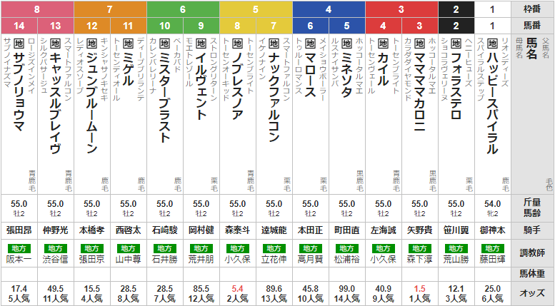 水曜大井11R ハイセイコー記念 予想