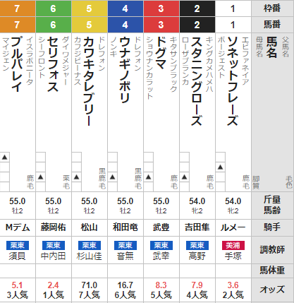 土曜阪神11R デイリー杯2歳S 予想