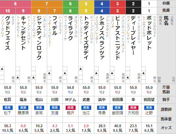 土曜阪神11R ラジオNIKKEI杯 京都2歳S 予想