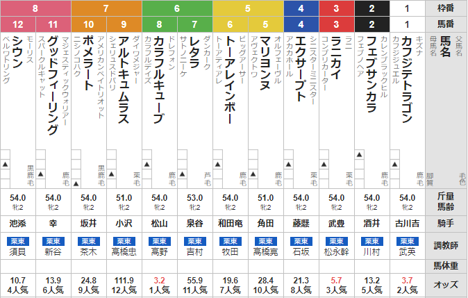日曜阪神2R 2歳未勝利 予想