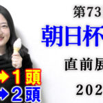 朝日杯FS 展望動画まとめ