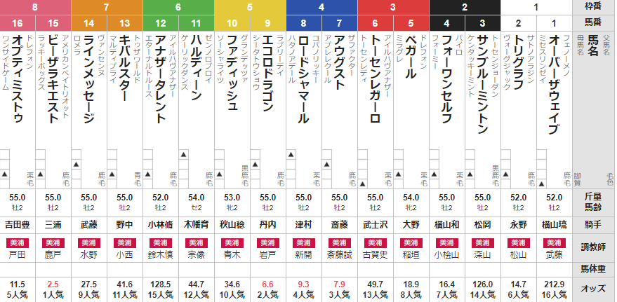 日曜中山2R 2歳未勝利 予想