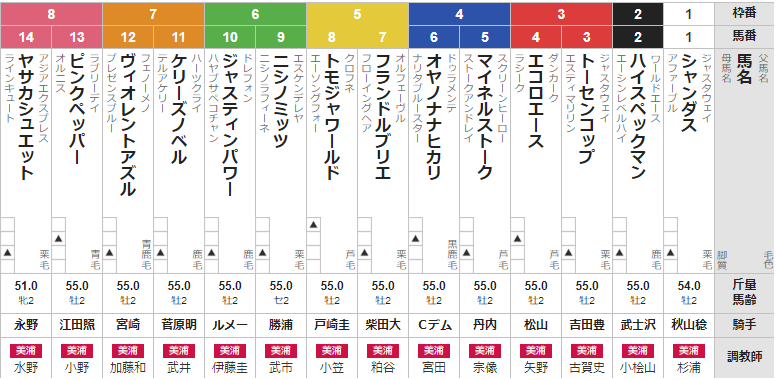 日曜中山2R 2歳未勝利 予想