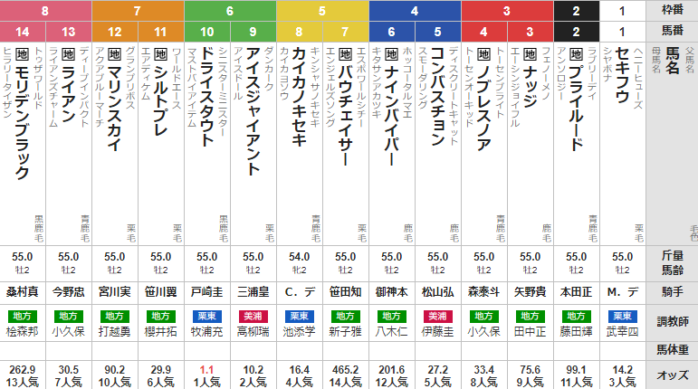 水曜川崎11R 全日本2歳優駿 予想