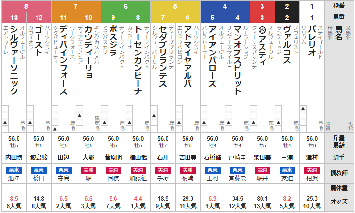 土曜中山11R ステイヤーズS 予想