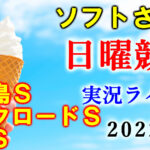土曜東京6R メイクデビュー東京　予想