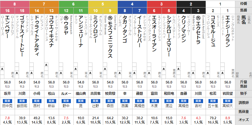日曜中京5R 3歳未勝利 予想