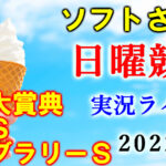 日曜阪神11R 大和ステークス　予想