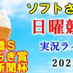 土曜東京11R 早春S 予想 ～3連複16.4倍的中～