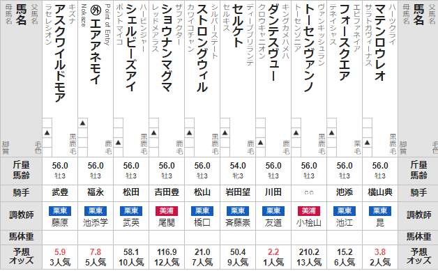きさらぎ賞 2022 出走馬全頭分析