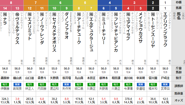 水曜船橋11R ダイオライト記念 最終買い目