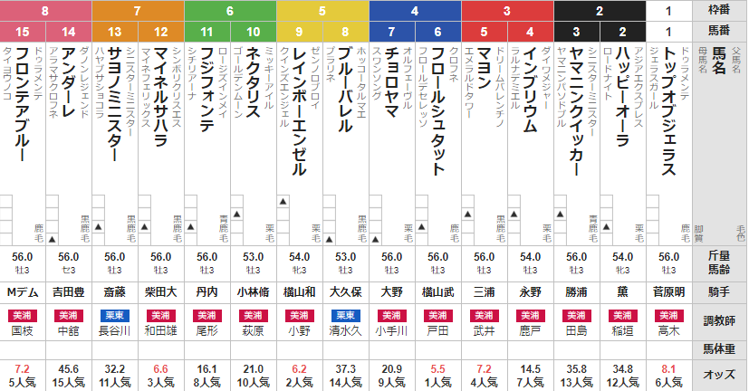 土曜中山2R 3歳未勝利 予想