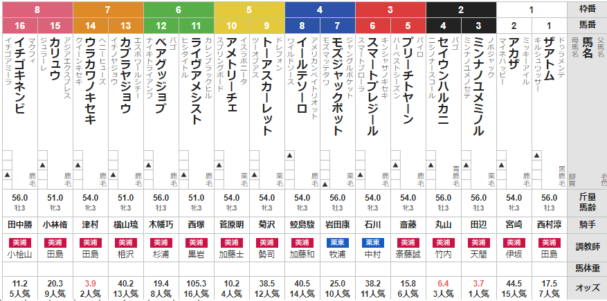 日曜中山5R 3歳1勝クラス 予想