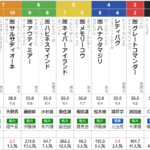 船橋11R マリーンカップ　予想