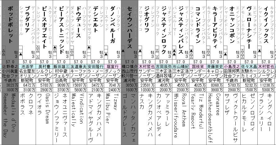日本ダービー 2022 出走馬全頭分析