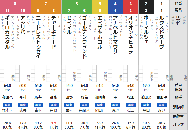 土曜阪神5R メイクデビュー阪神 予想
