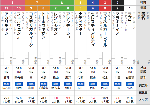 土曜東京5R メイクデビュー東京 予想 ~複勝&3連複61.5倍的中!~