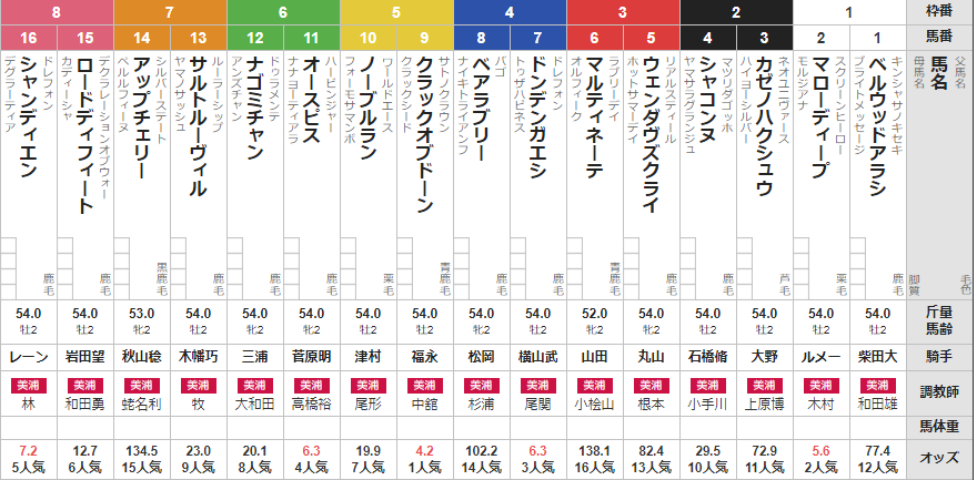 日曜東京6R メイクデビュー東京 予想