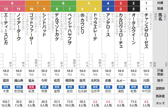 日曜阪神5R メイクデビュー阪神 予想 ~本線馬連的中!|
