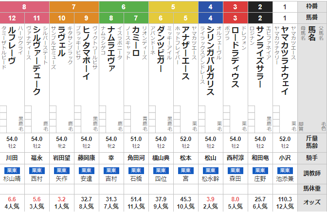 日曜小倉5R メイクデビュー小倉 予想