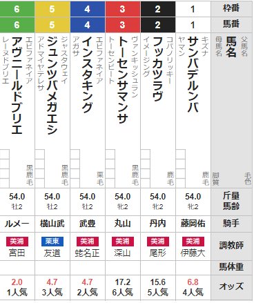 日曜札幌5R メイクデビュー札幌 予想