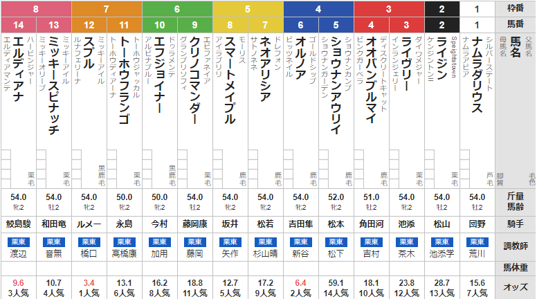 土曜中京5R メイクデビュー中京 予想 ~3連複86.3倍的中~