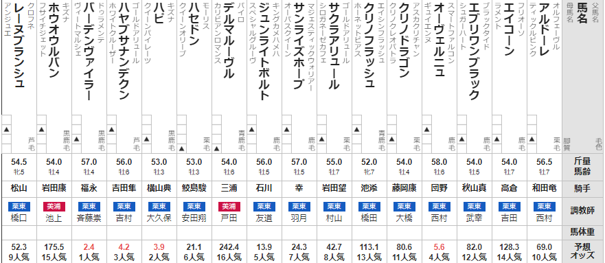 シリウスS 2022 出走馬全頭分析 ~久々にA評価でました~