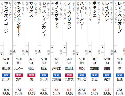 毎日王冠 2022 出走馬全頭分析