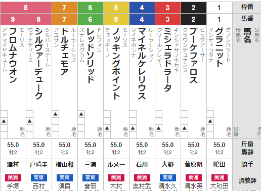 土曜東京11R サウジアラビアロイヤルC 予想