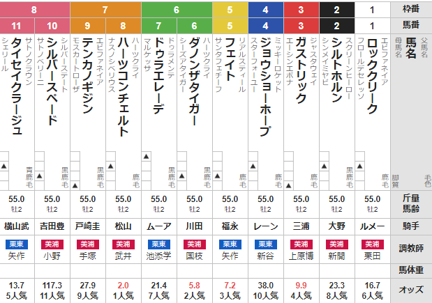 土曜東京11R 東スポ杯2歳S 予想