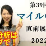 マイルチャンピオンシップ 2022 展望動画まとめ