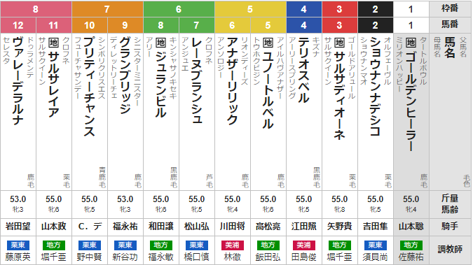 木曜盛岡10R JBCレディスクラシック 予想