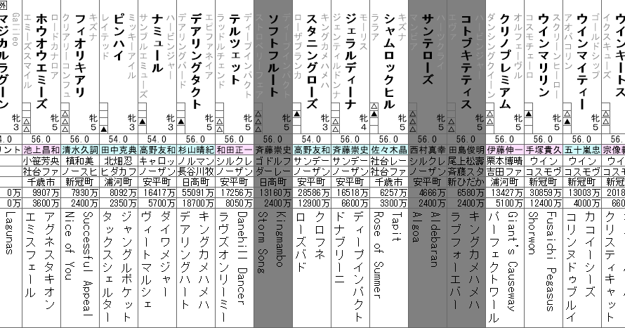 エリザベス女王杯 2022 出走馬全頭分析