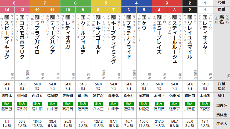 水曜川崎11R ロジータ記念 予想
