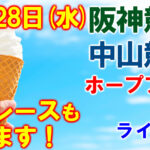 水曜中山5R メイクデビュー中山　予想